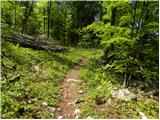 Krn - Planina Pretovč